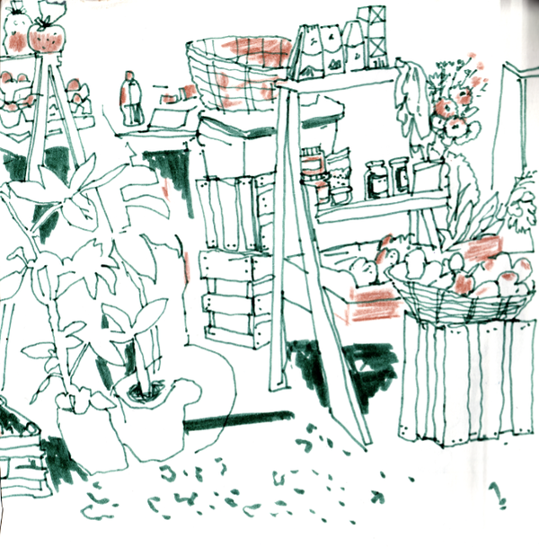 oaxaca2_sketchbook_yehudi